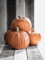 La saison des citrouilles