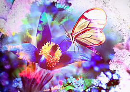 Fantasy Butterfly by Reinaerde Digiteam Woerden