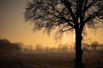 Magischer Sonnenaufgang an einem kalten Morgen im Februar von Meike de Regt