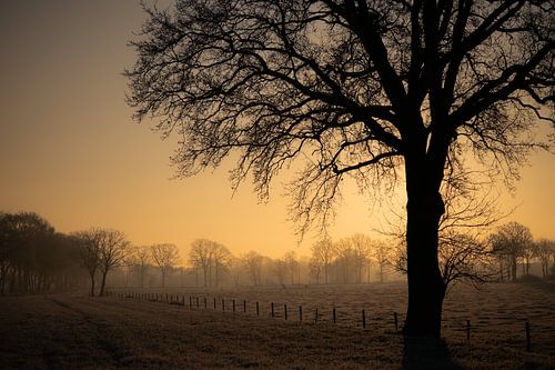 Lever de soleil magique par un matin froid de février