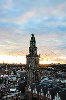 Des oiseaux décollent du Martinitoren à Groningen au coucher du soleil.