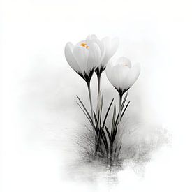 crocusjes van LidyStuit