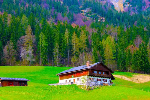 auf der Alm