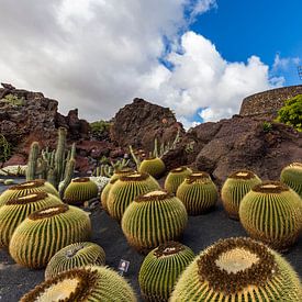 Jardín de Cactus sur Easycopters