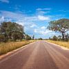 road in the kruger national park in south africa van ChrisWillemsen