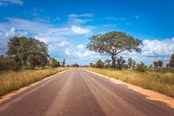 road in the kruger national park in south africa van ChrisWillemsen thumbnail