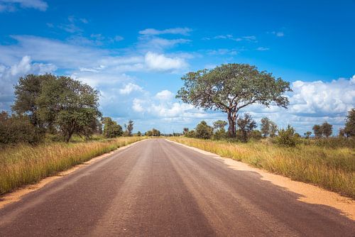road in the kruger national park in south africa