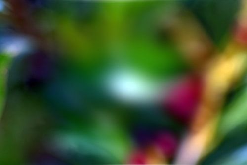 Wazig-fotografie-wazig van arte factum berlin