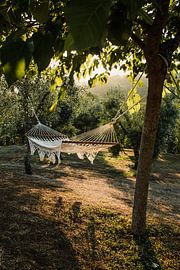 Tuscany - Hammock in Italian sun by Andrea Dorr Fotografie