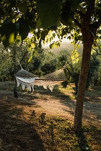 Toscane - Hamac au soleil italien sur Andrea Dorr Fotografie