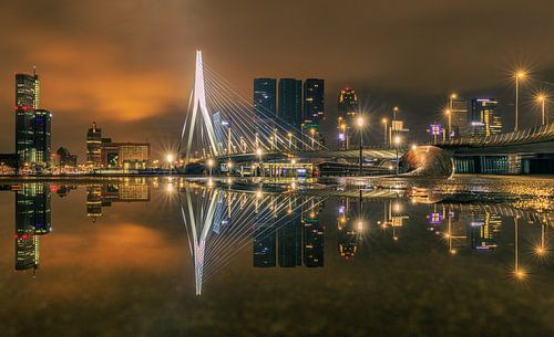 Erasmus Bridge reflection.