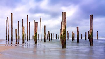 Palendorp Petten 2. kunstwerk bestaande uit 160 palen. van Marcel Kieffer