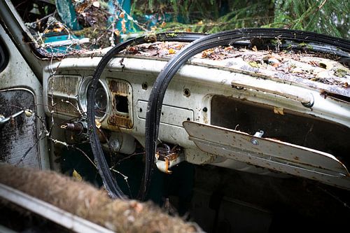 Volkswagen Kever, beetle,Käfer