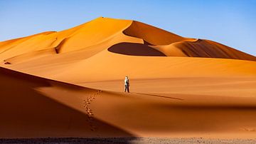 In de Sahara van Roland Brack