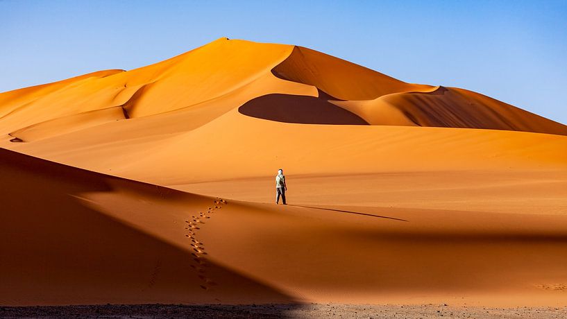 In de Sahara van Roland Brack