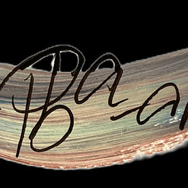 pba-art photo de profil