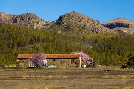 Verlassenes Haus in der vulkanischen Berglandschaft von Teneriffa von Nynke Altenburg