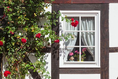 Fenster mit Blumen