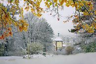 Herbst Winter Melange in Freiburg von Patrick Lohmüller Miniaturansicht