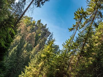 Schindergraben, Sächsische Schweiz - Hockstein von Pixelwerk