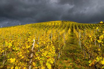 Threatening sky over a vineyard in the Mosel by Linda Schouw