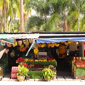 Fruit, fruit and fruit by Angela Seubring