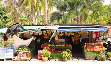 Fruit, fruit and fruit