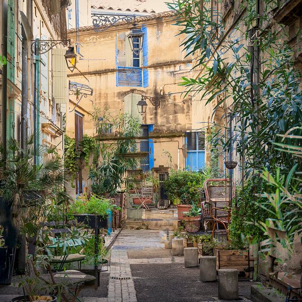 JUNGLE URBAINE I par Caroline Boogaard