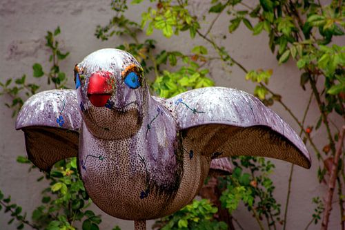 The sparrow of Ulm