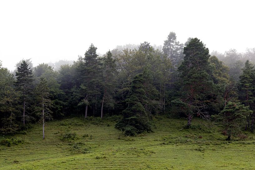 Matin brumeux dans les montagnes par Fika Fotografie