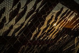 gedroogde vis by Frans Scherpenisse