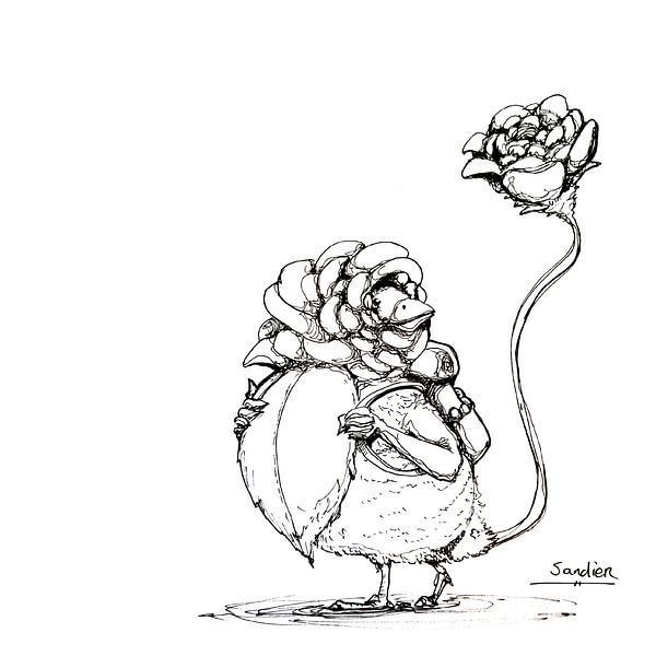 Rose Bird by Sander Oude Veldhuis