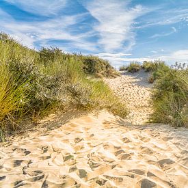 Der Weg durch die Dünen zum Strand von Lisette Rijkers