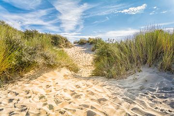 Het pad door de duinen naar het strand van Lisette Rijkers