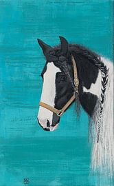 Kesselflicker Irish Cob von ArtCatcher.nl