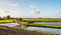 Nature reserve Het Gors near Nieuw-Beijerland