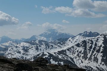 Canadese bergen bij Jasper (Alberta) van Carin van der Aa