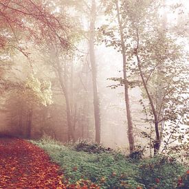 Fall Forest Foothpath by Splash Gallery