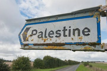 Palestine Hamsphire sur Richard Wareham