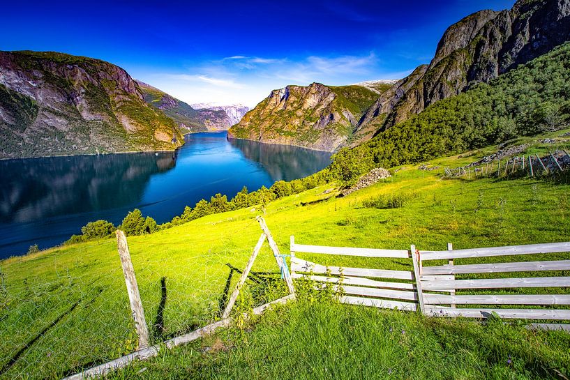 Aurlandsfjord Noorwegen van Freddy Hoevers