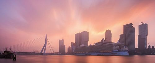 Oasis of the seas panorama