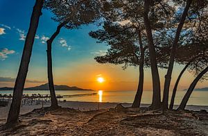 Vue idyllique du lever du soleil sur la côte d'une belle baie maritime.