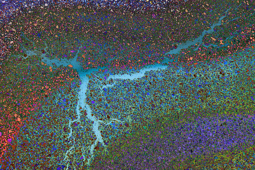 Motif abstrait composé de taches et de lignes