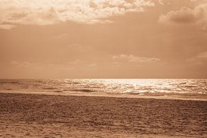 Strand Sepia