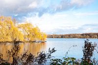 Wintersonne