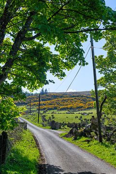 Argyll & Bute, Schotland. Landschap