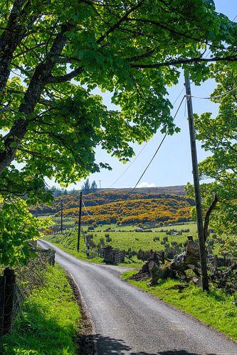 Argyll & Bute, Écosse. Paysage sur Pascal Raymond Dorland