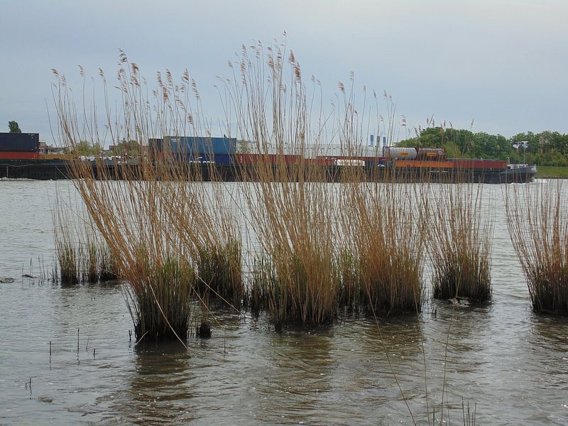 Eb &amp; Vloed by Koos Iperen