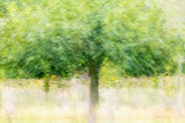 Solitärbaum 3 von Léonie's Art Gallery