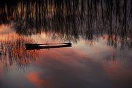 Half gezonken bootje tijdens zonsondergang van Ron van der Stappen thumbnail